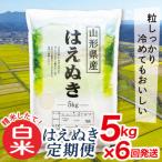 買い忘れなしで美味しいはえぬき5kg
