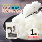 魚沼産 川西こしひかり 精米 1kg全12回