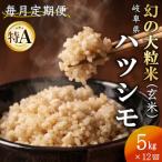 ふるさと納税 羽島市 【毎月定期便】岐阜県産ハツシモ(玄米)5kg全12回