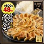 鹿児島黒豚 餃子800g 48個
