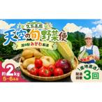 天空の旬野菜便 野菜 詰め合わせ 5~6種類