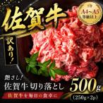 艶さし 訳あり 佐賀牛切り落とし 500g