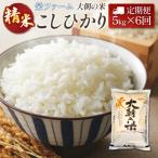 定期便 全6回 コシヒカリ 精米 5kg