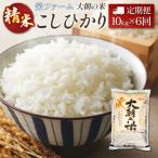 定期便 全6回 コシヒカリ 精米 10kg