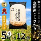 魚沼コシヒカリ 苗場プリンセス プレミアム
