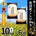 魚沼産コシヒカリ 金印 精米 10kg全6回