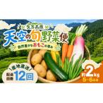 久万高原 天空の旬野菜全12回