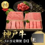 3か月定期便B全3回