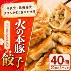 火の本豚 餃子 20個入り×2パック 全3回
