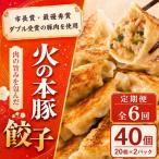 火の本豚 餃子 20個入り×2パック 全6回