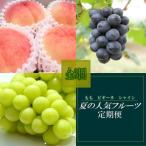 和歌山の夏のフルーツ定期便 桃 たねなしピオーネ