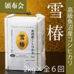 高級魚沼産コシヒカリ 雪椿 精米 2kg