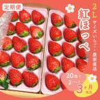 静岡いちご 紅ほっぺ 2Lサイズ40粒 20粒×2トレイ