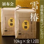 魚沼コシヒカリ 苗場プリンセス 特別栽培米
