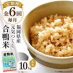 合鴨米 元気つくし 玄米 10kg
