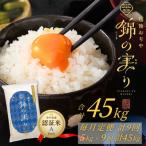 魚沼産コシヒカリ 認証米 Aランク 精米5kg全9回