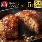 和牛あかうしハンバーグ120g×5ケ