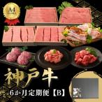 6か月定期便B全6回