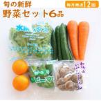 旬の新鮮野菜セット 6品目 全12回