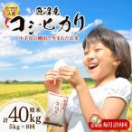 魚沼産 コシヒカリ 棚田米 精米 5kg全8回