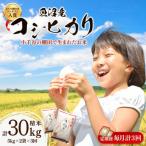 魚沼産 コシヒカリ 棚田米 精米 10kg全3回