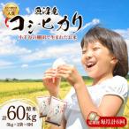 魚沼産 コシヒカリ 棚田米 精米 10kg全6回