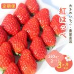 大きめいちご紅ほっぺ280g×2パック
