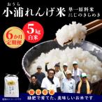 小浦れんげ米 にじのきらめき 精米 白米 5kg全6回