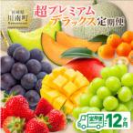 超プレミアムデラックス定期便 全12回