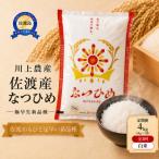 佐渡産 なつひめ 4kg