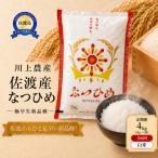 佐渡産 なつひめ 4kg