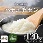エコ栽培ハナエチゼン精米10kg 5kg×2袋