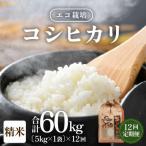 エコ栽培コシヒカリ 精米5kg全12回