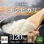 エコ栽培コシヒカリ精米10kg 5kg×2袋
