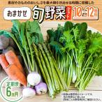 おまかせ旬野菜セット 10~12種類全6回
