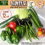 有機野菜セットC 季節の野菜 詰め合わせ