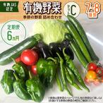 有機野菜セットC 季節の野菜 詰め合わせ
