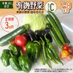 有機野菜セットC 季節の野菜 詰め合わせ