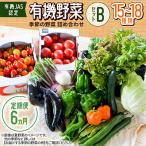 有機野菜セットB 季節の野菜 詰め合わせ