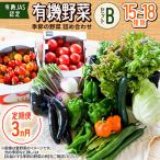 有機野菜セットB 季節の野菜 詰め合わせ