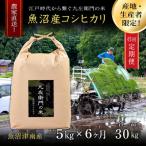 コシヒカリ 6ヶ月定期便 魚沼産コシヒカリ