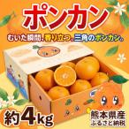 ポンポンパック 定期便全4回