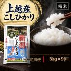 上越産 柿崎 こしひかり 5kg