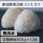 魚沼産コシヒカリ 山清水米 無洗米3kg全12回