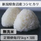 魚沼産コシヒカリ 山清水米 無洗米5kg全3回