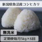 魚沼産コシヒカリ 山清水米 無洗米5kg全6回