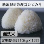 魚沼産コシヒカリ 山清水米 無洗米10kg全12回