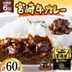宮崎牛カレー160g×10食 計60食