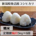 魚沼産コシヒカリ 山清水米 精米5kg全6回