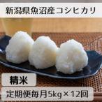 魚沼産コシヒカリ 山清水米 精米5kg全12回